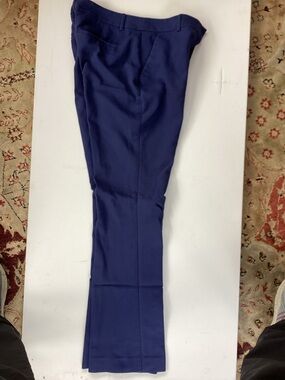 Express Editor 10 Reg. Womens Royal Blue Pants